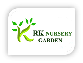 rknurserygarden-buyp technologies